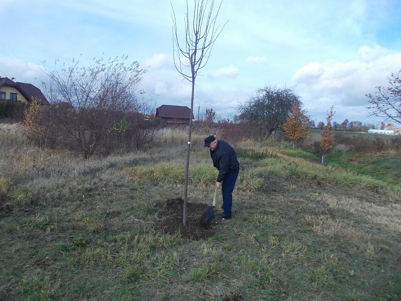 foto 032.jpg - Zasazen lpy na Mal Ri - za starousedlky pan Ji Krej